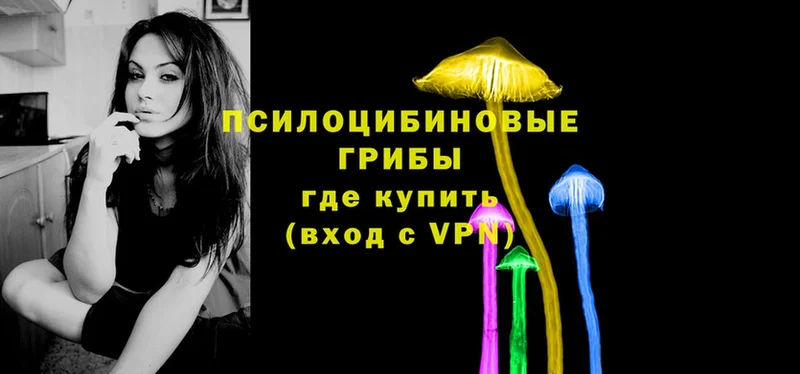 что такое наркотик  KRAKEN ссылка  Псилоцибиновые грибы Psilocybe  Бирюч 